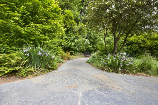 Stone Hardscape Service in Bremerton